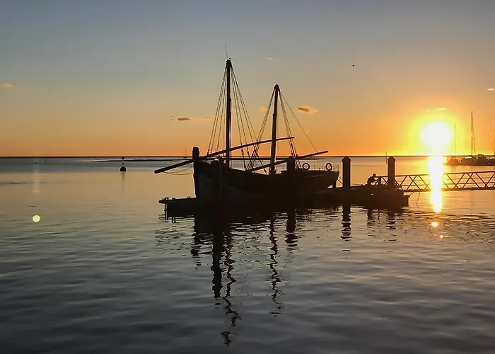 Caroline Du Sul Daire *