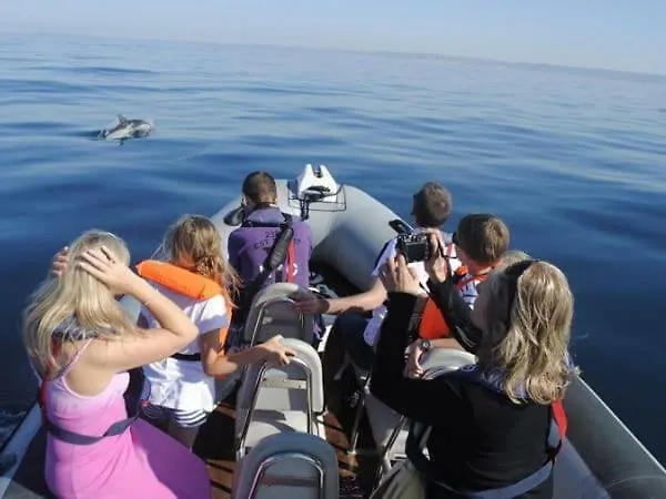 Caroline Du Sul Daire