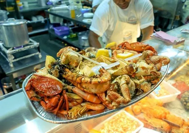 Caroline Du Sul Daire