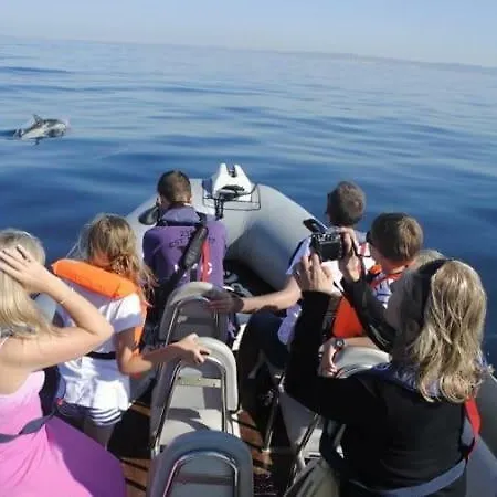 Caroline Du Sul Apartamento